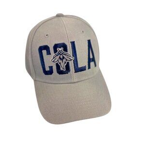 Columbia Fireflies Baseball Cap, New w/o Tags, Gray, Embroidered,